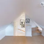 Staeaer Hues *