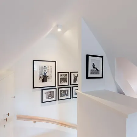 Staeaer Hues *